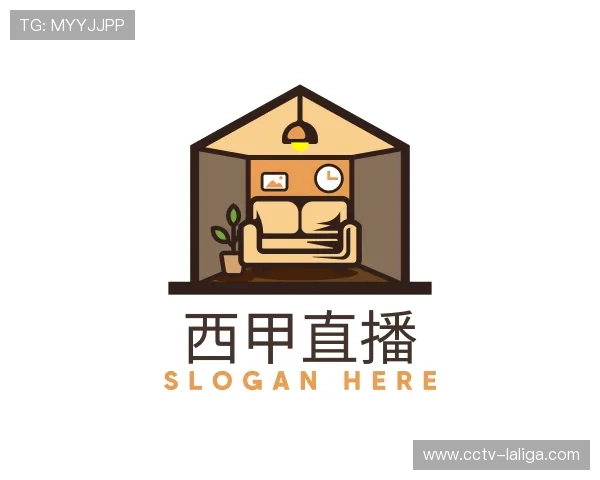 关于西甲直播官网